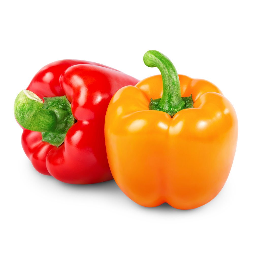 Capsicum